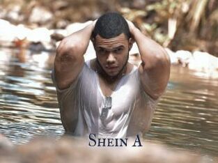 Shein_A