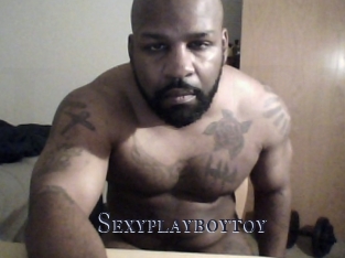 Sexyplayboytoy