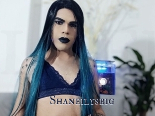 Shaneilysbig