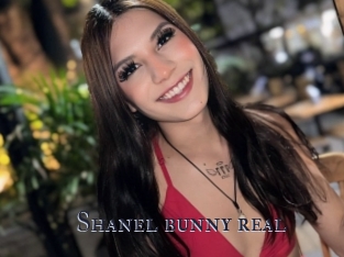 Shanel_bunny_real