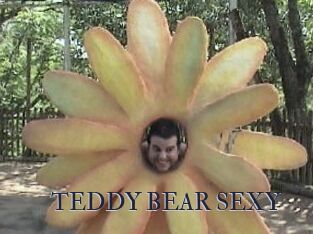 TEDDY_BEAR_SEXY