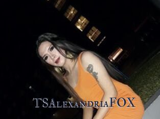 TSAlexandriaFOX