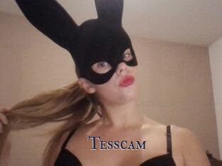 Tesscam