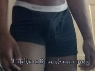 TheRealBlackStallion1