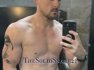 TheSolidSnake23