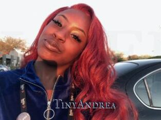 TinyAndrea