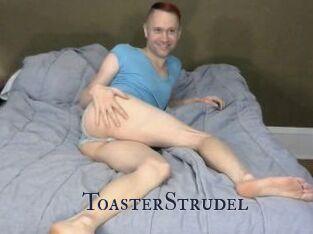 ToasterStrudel