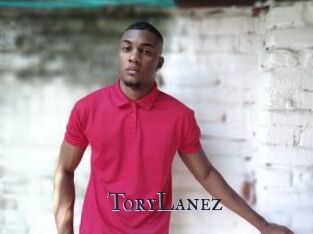 ToryLanez