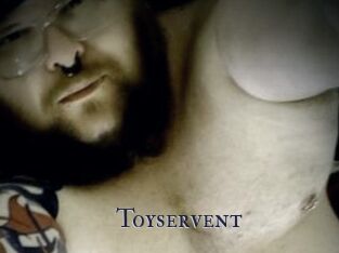 Toyservent