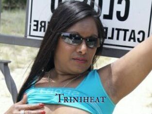 Triniheat