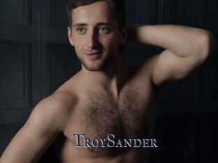 TroySander