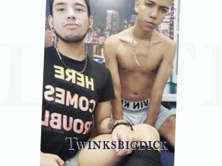 Twinksbigdick