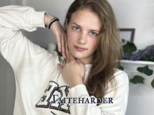 Taiteharder