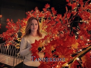 Tanderrose