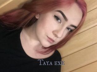 Taya_exe