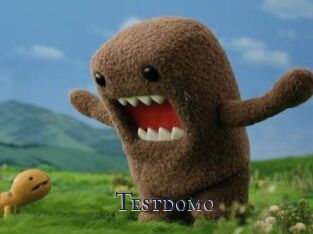 Testdomo