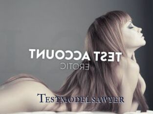 Testmodelsawyer