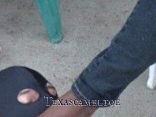 Texascameltoe