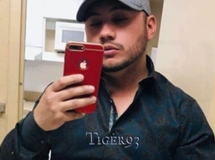 Tiger93