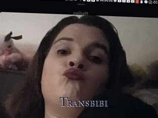 Transbibi