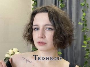 Trishrose