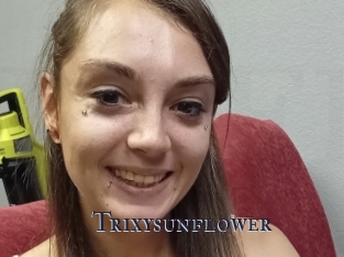 Trixysunflower