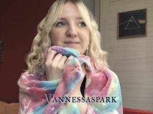 Vannessaspark