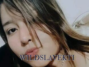 WILDSLAVEKTI