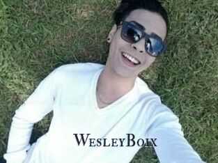 Wesley_Boix