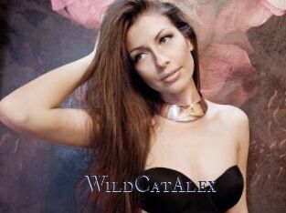 WildCatAlex