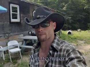 Wildcowboy