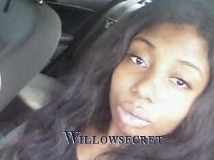 Willow_secret