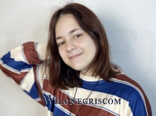 Wilonegriscom