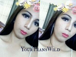 YourTransWild