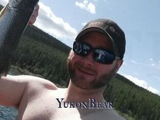 YukonBear