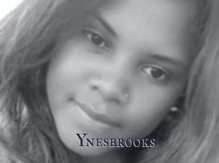 Ynesbrooks